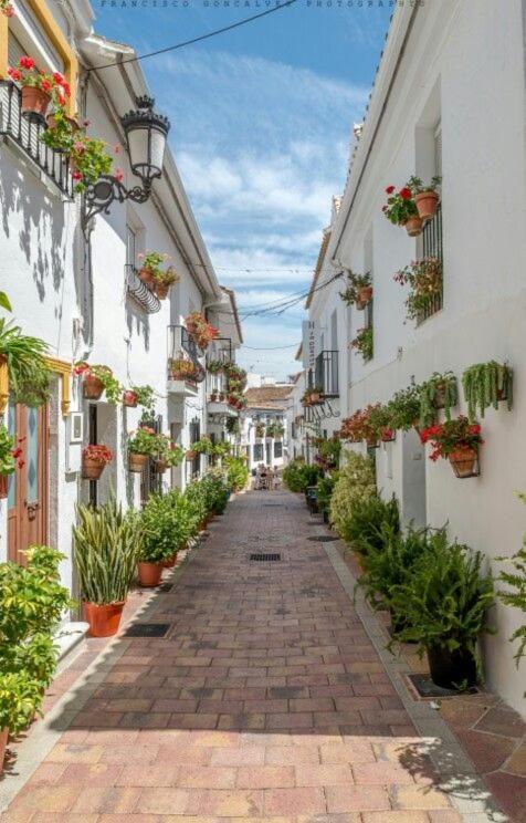 Trebol Apartamentos Benalmadena Arroyo De La Miel Exteriör bild